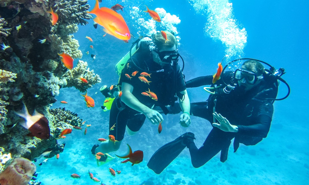 Experience Level Needed for Scuba Diving in Dwarka