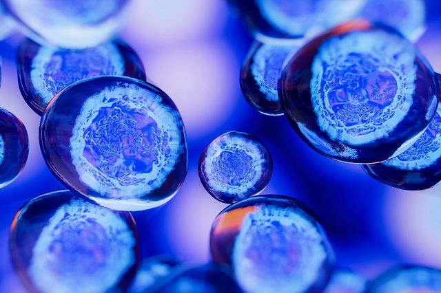 Cell Therapy Market Anticipated to Expand at a Steady 2023 to 2030