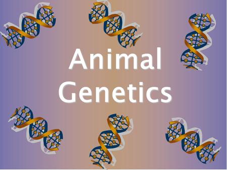 Unraveling the Mysteries of Animal Genetics: Exploring the Science and Impact