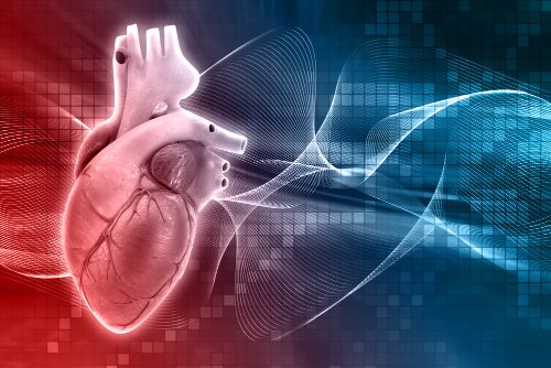 Global Beating Heart Patch Market Trends and Forecasts