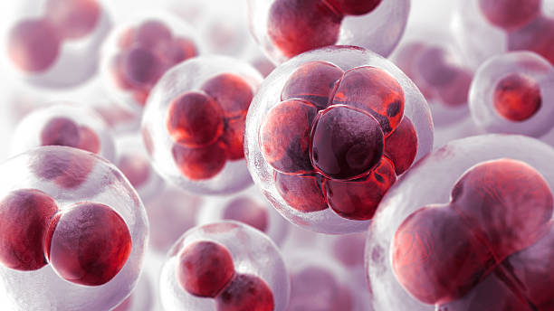Cell Expansion is Estimated to Witness High Growth Owing to Significant Advancements in Regenerative Medicine