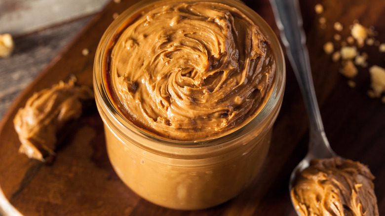 Key Steps for Setting Up a Cookie Butter Spread Manufacturing Plant: Comprehensive Business Plan