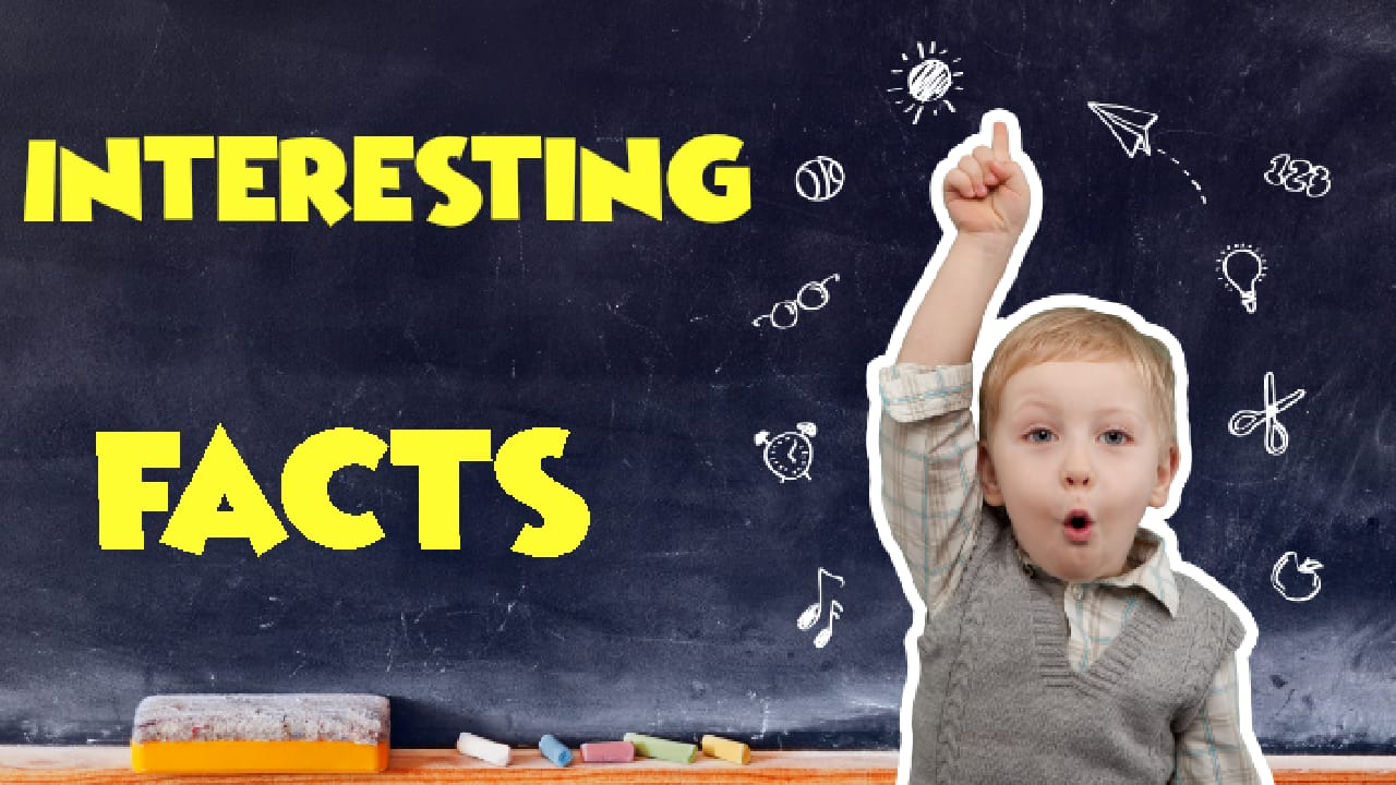 . Does an adjustment