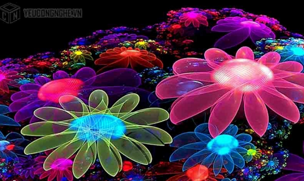 Color blindness: what you need to know