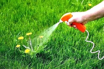 Bioherbicides Market Analysis | Segmentation, Revenue & Growth | Forecast To 2028