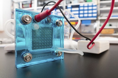 Fuel Cell Market Insights | Emerging Trends & Demand | Forecast To 2025