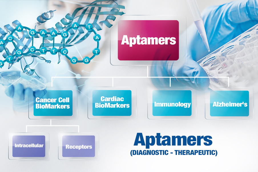 Aptamers Market 2020 Trends, Key Players, Manufacturers Data, Price Analysis, Company Profiling By Type, By Density Composition