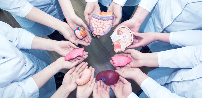 Transplantation Market Share, Revenue, Drivers, Trends And Influence Factors Historical & Forecast Till 2025
