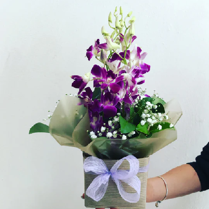 What Is Pink Orchard?