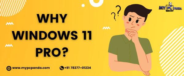 Why Windows 11 Pro