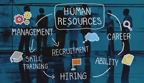 HR Advisory Support: Your Key to Effective Human Resource Management