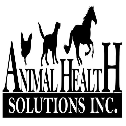 Horse Health Care Products