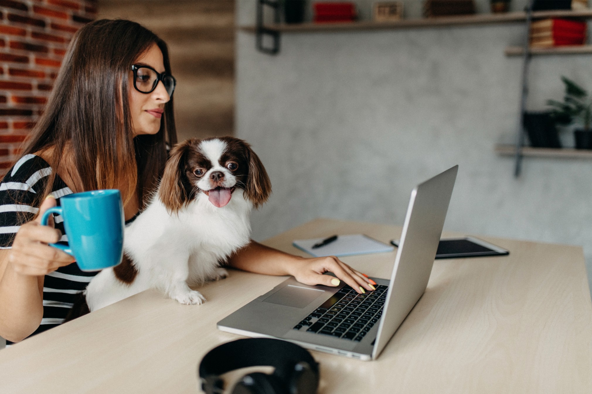 Using Content Marketing to Educate and Engage Dog Owners: Unleashing the Power of Knowledge