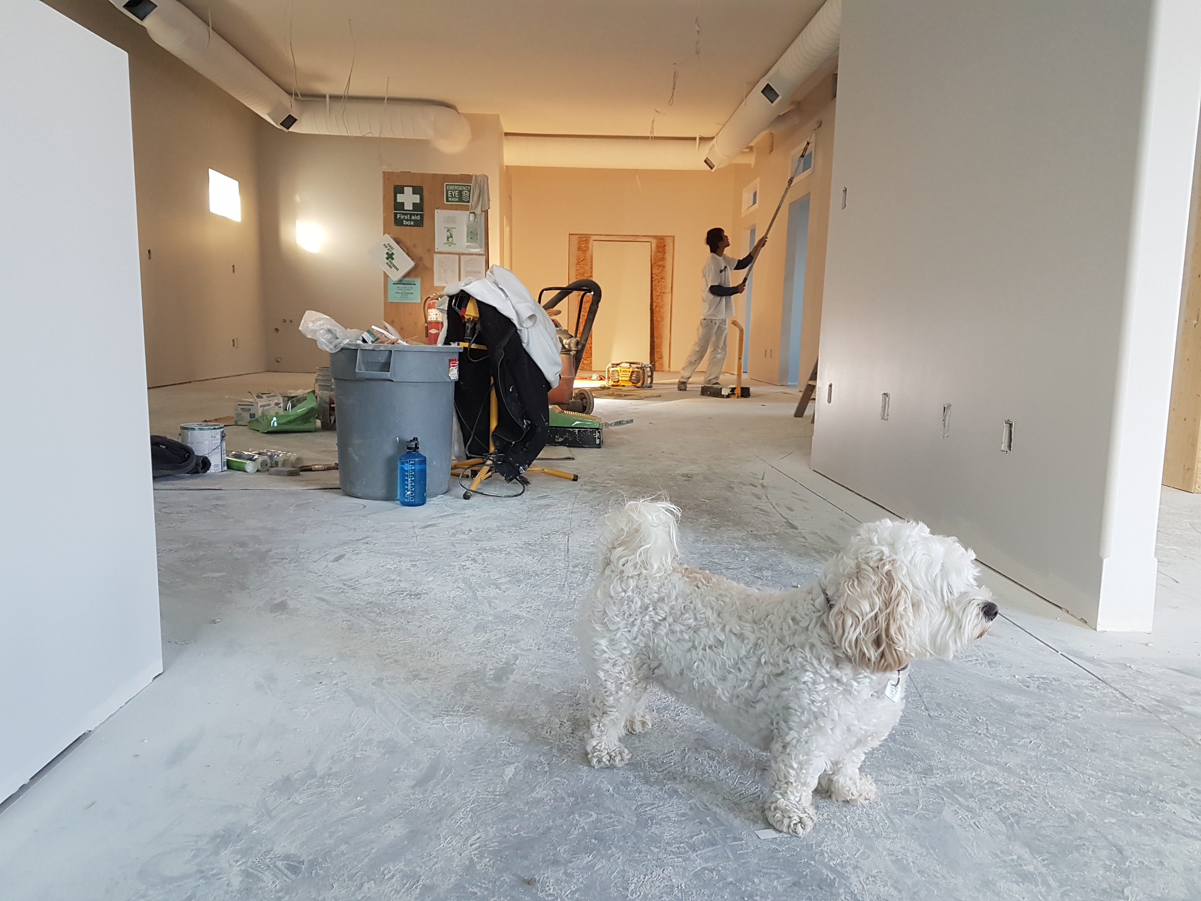 A Fresh Coat of Paint: Revitalizing Your Home with Color