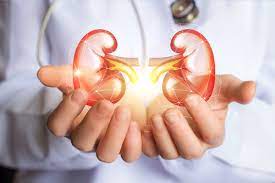 What to Know About Chronic Kidney Disease