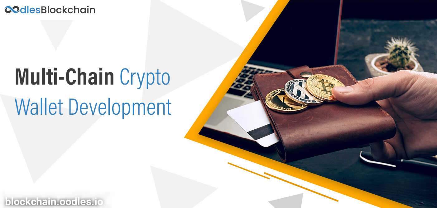 Increasing Inevitability of Multi-Chain Crypto Wallet Development | Oodles Blockchain