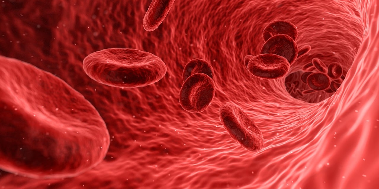 Global Lateral Flow Immunoassay (LFIA) Based Rapid Test Market 2024 By Drug Type, By Regional Outlook, Industry Analysis Report