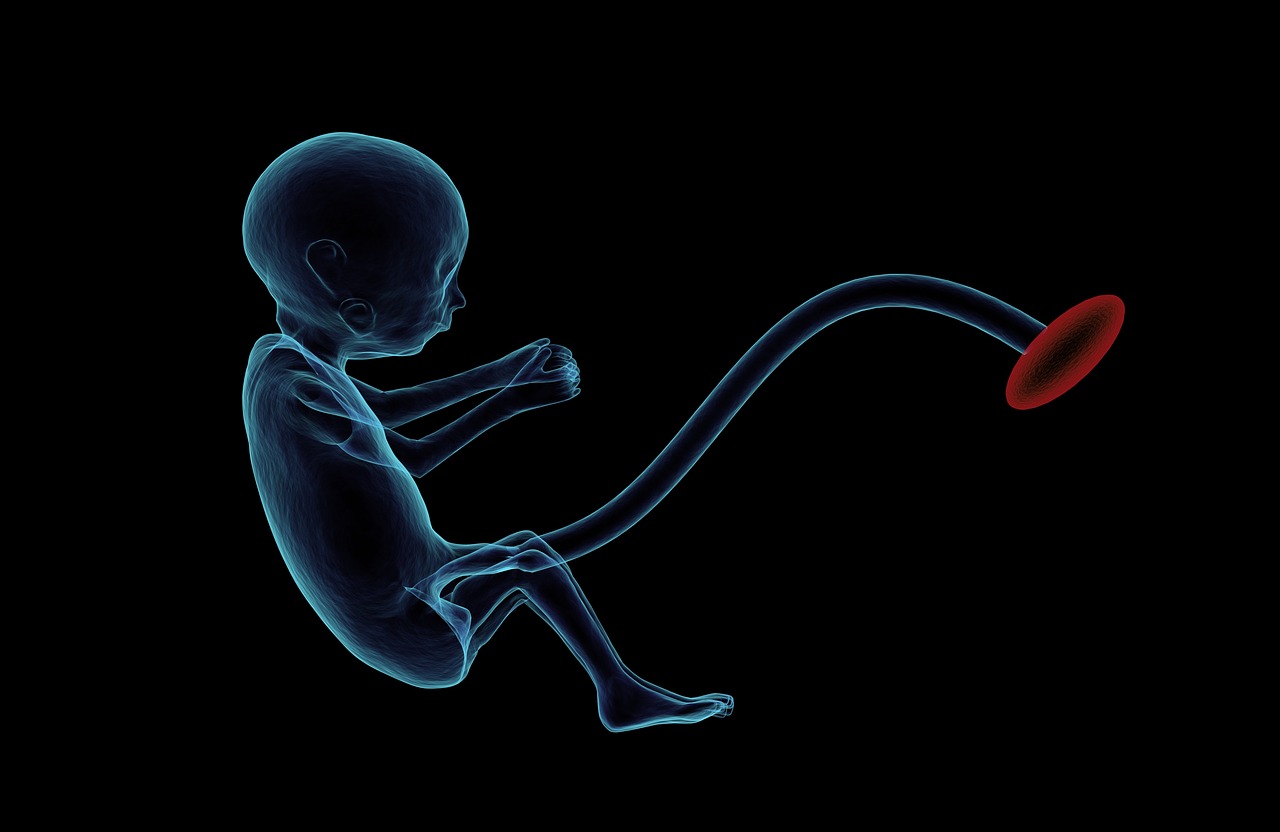 Global Fetal Monitoring Market Top Company Profiles, Growth, Size And Forecast To 2032