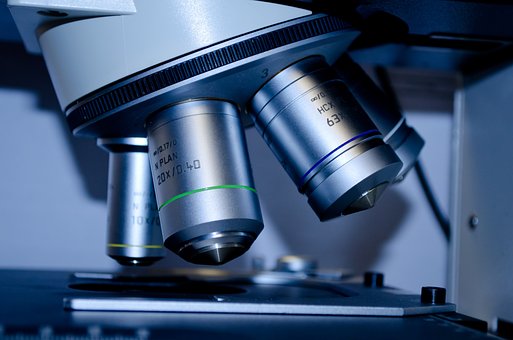 Global Microscopy Market 2023 Product Valuation And Growth Opportunities