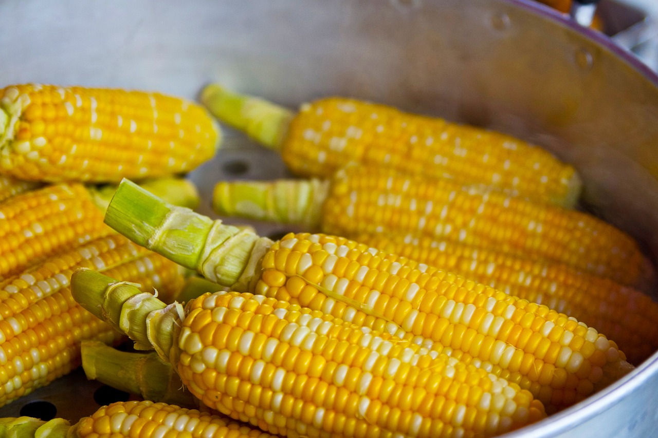 Global Corn And Corn Starch Derivatives Market Trends, Growth, Industry Share, Global Analysis Forecast 2023-2032
