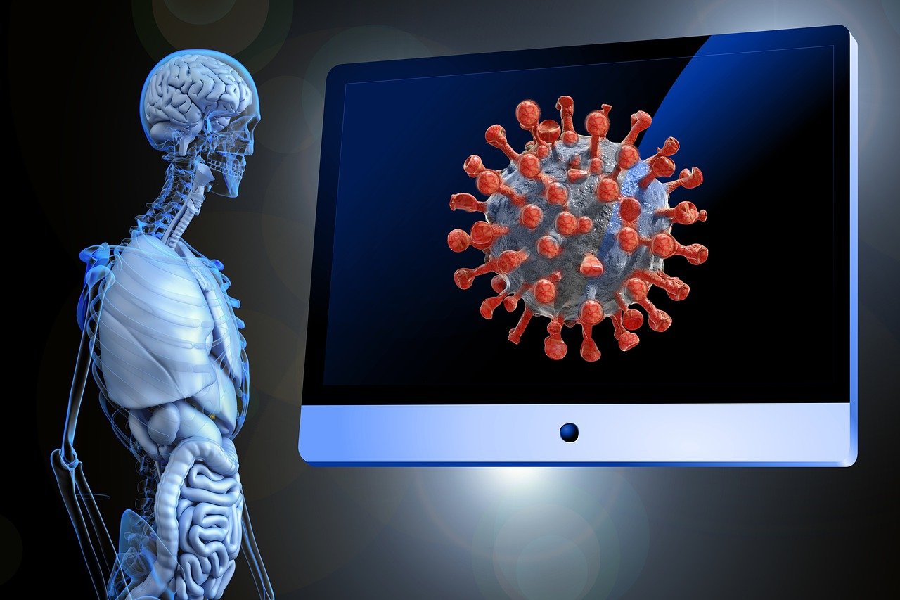 Anatomical Models Market Share, Trend Analysis, Key Drivers, Size And Forecast To 2033