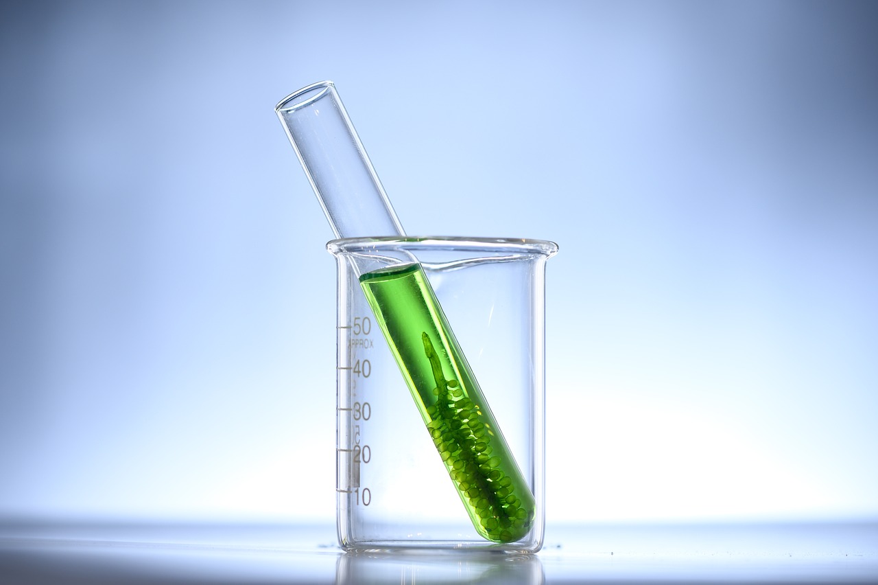 Biofuels Market Dynamic Growth Factors, Industry Share And Outlook 2032