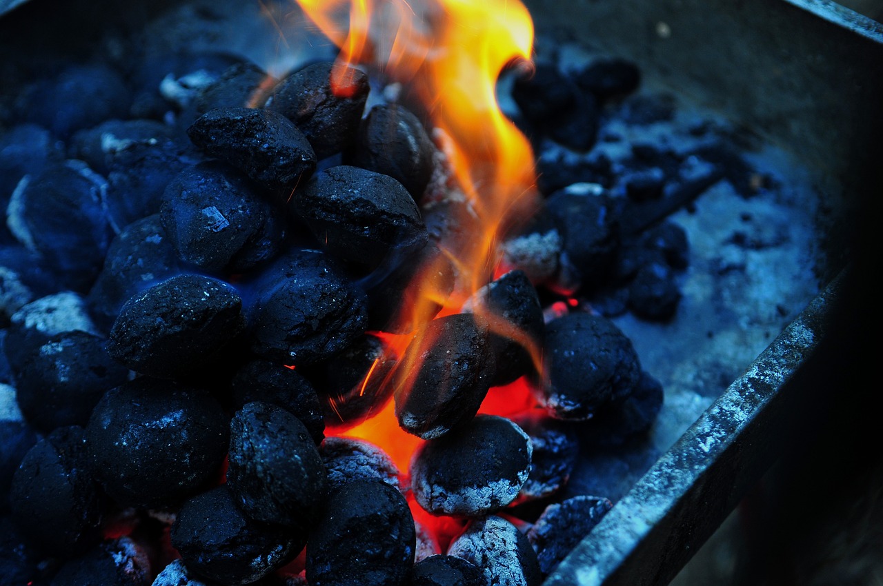 BBQ Charcoal Market Size, Share Analysis, Top Players, And Forecast To 2033