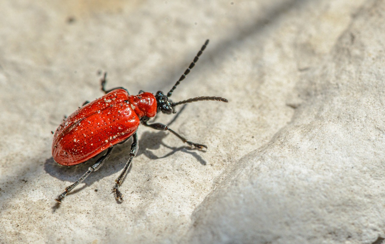 Global Integrated Pest Management (IPM) Market Business Overview, Trends Analysis, And Forecast To 2032