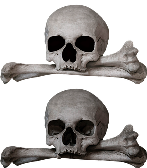 Global Bone Grafts And Substitutes Market Brief Analysis, Industry Growth, And Trends Report 2023