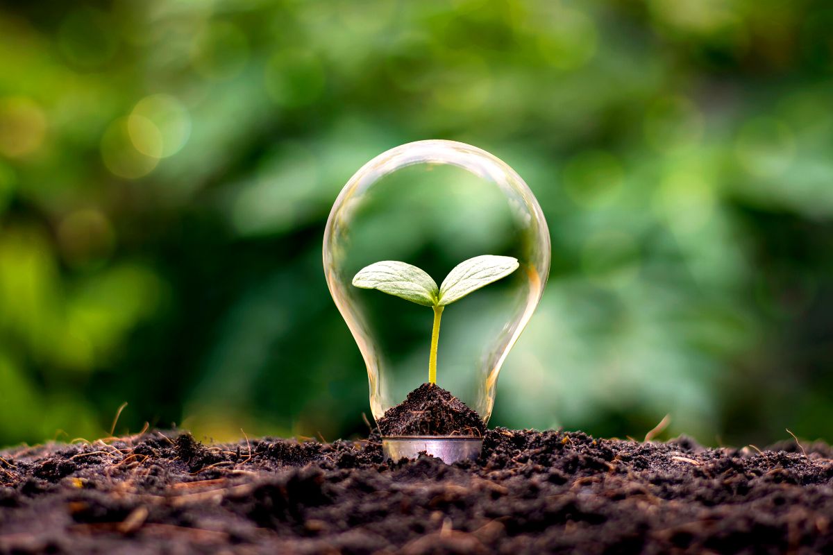 The Role of Sustainable eCommerce in Minimizing Waste in the Supply Chain