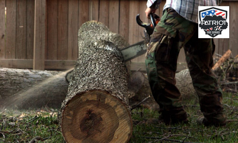 After the tree is gone: Tips for landscaping and replanting