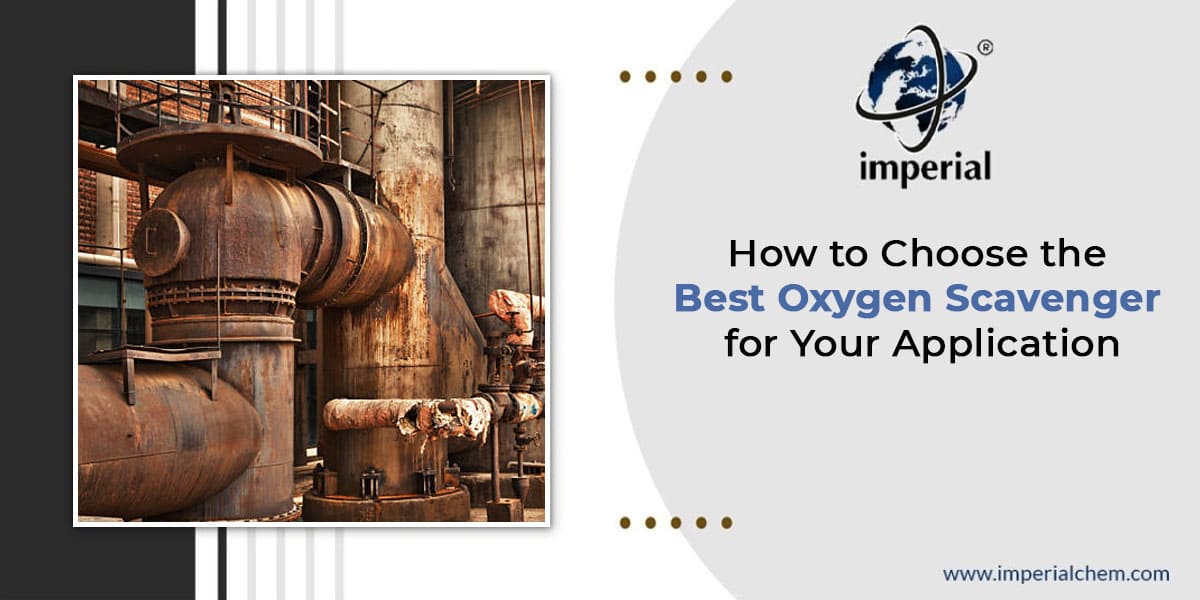 How to Choose the Best Oxygen Scavenger for Your Application