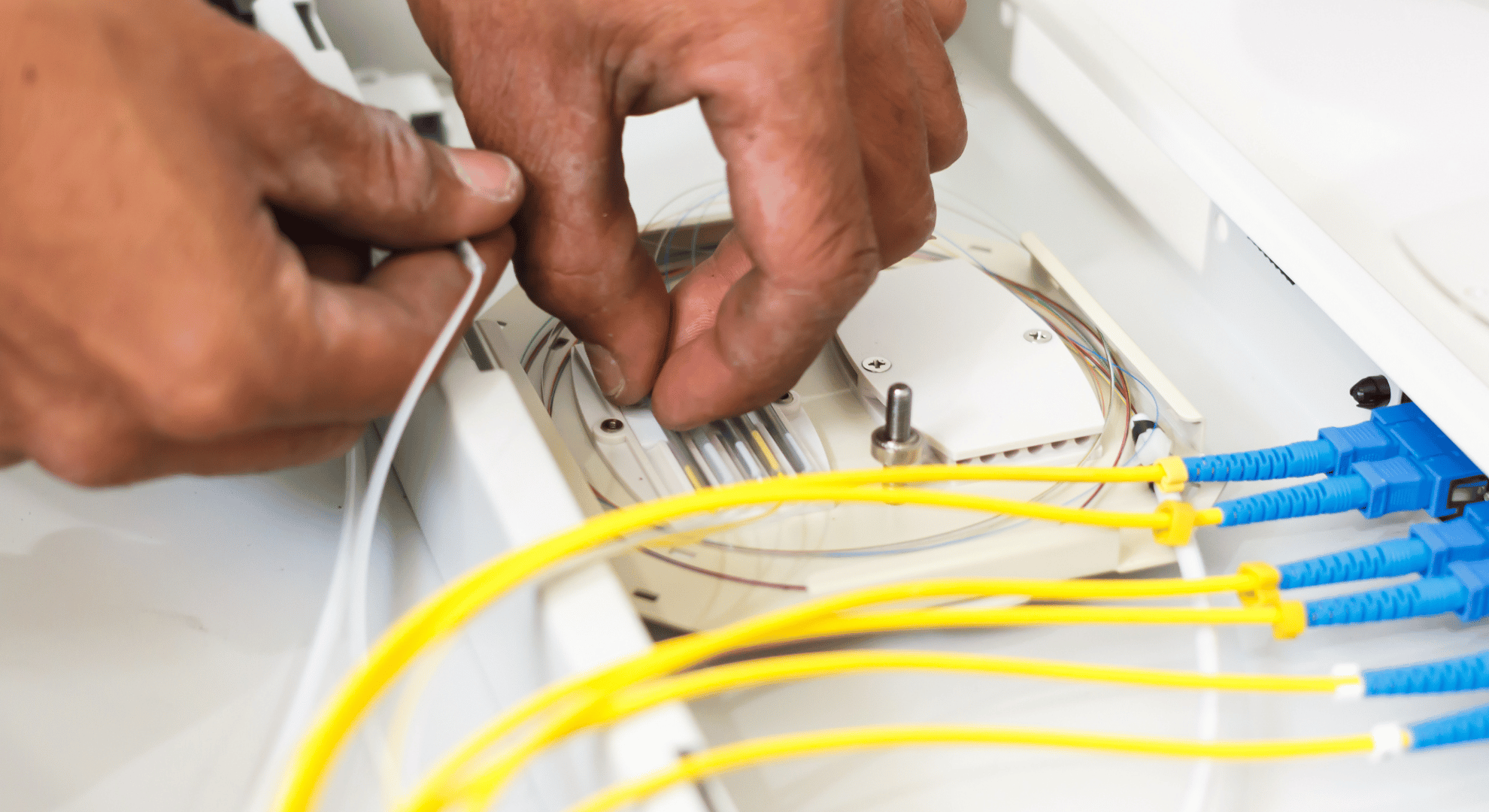 What Makes Single-Mode Fiber Optic Ethernet Cable So Popular Among SMB Owners?
