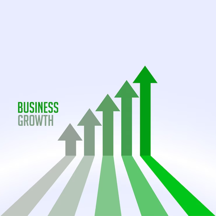 5 Expert tips to maximize your business like a pro!