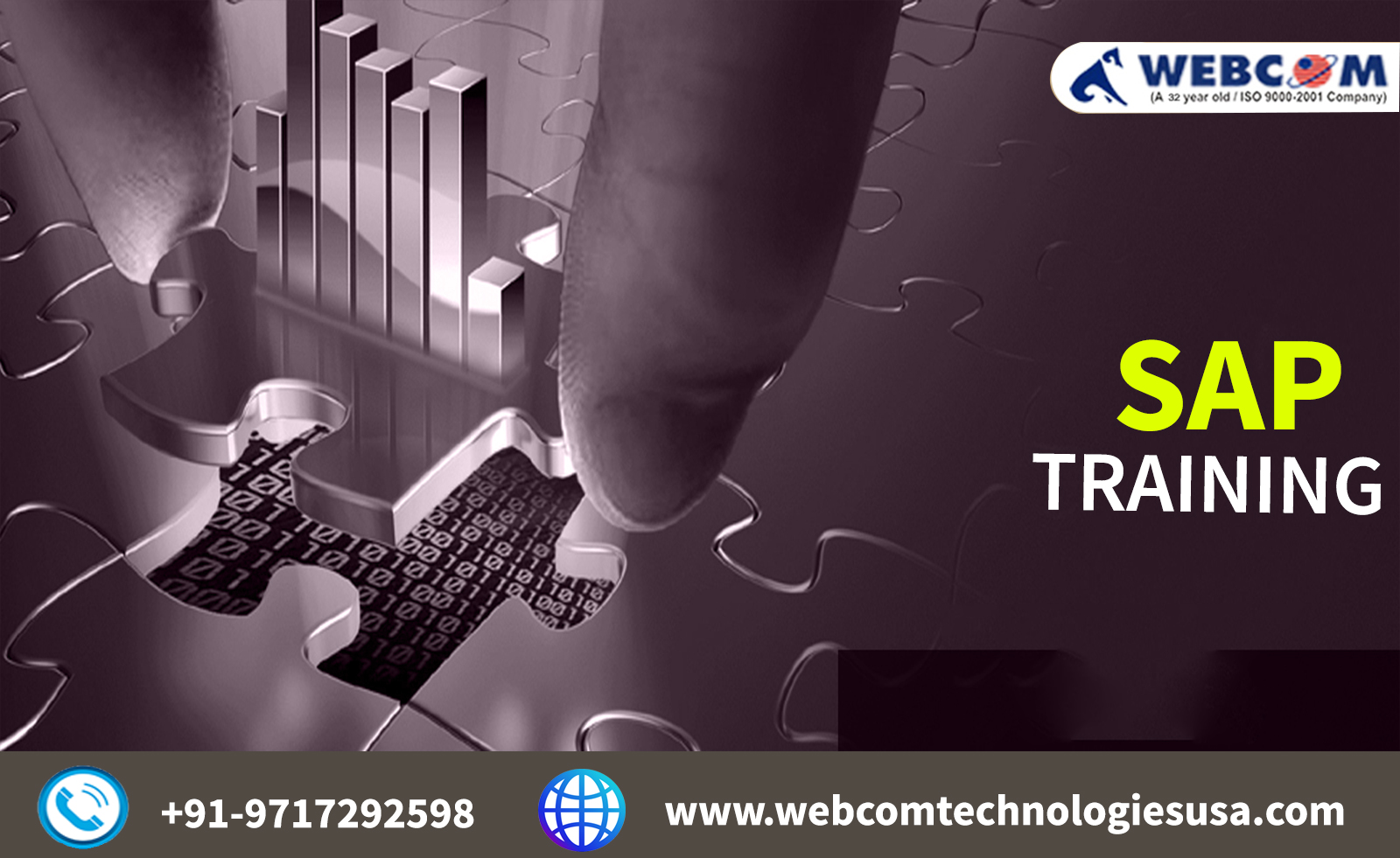SAP Training in Delhi