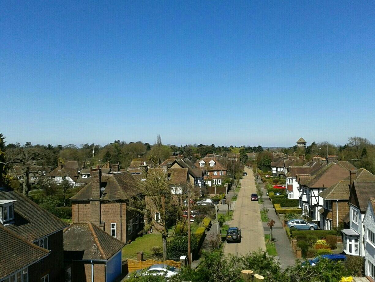 Tree Surgeons in Luton and Their Responsibilities