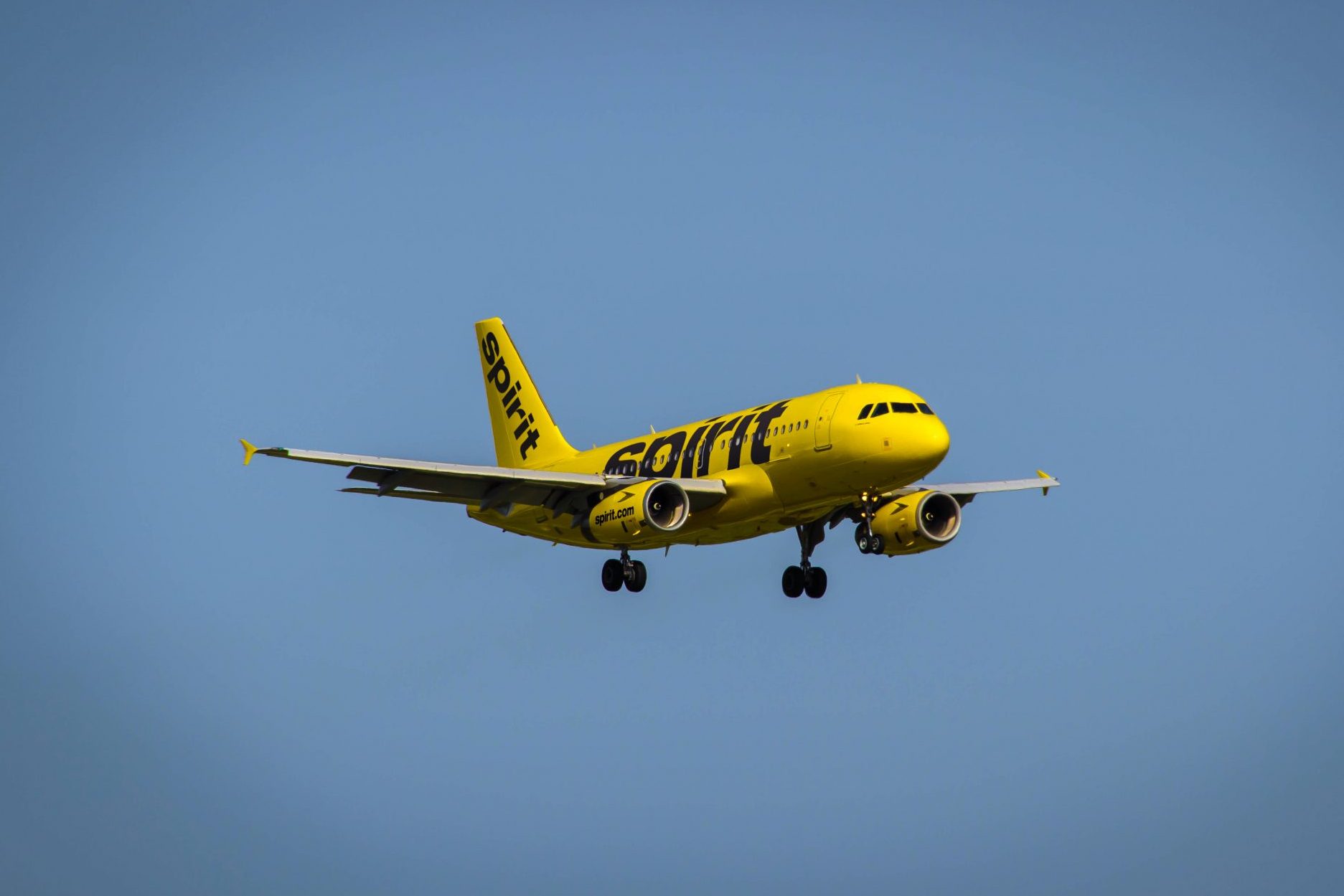 How can I make a group travel with Spirit Airlines?
