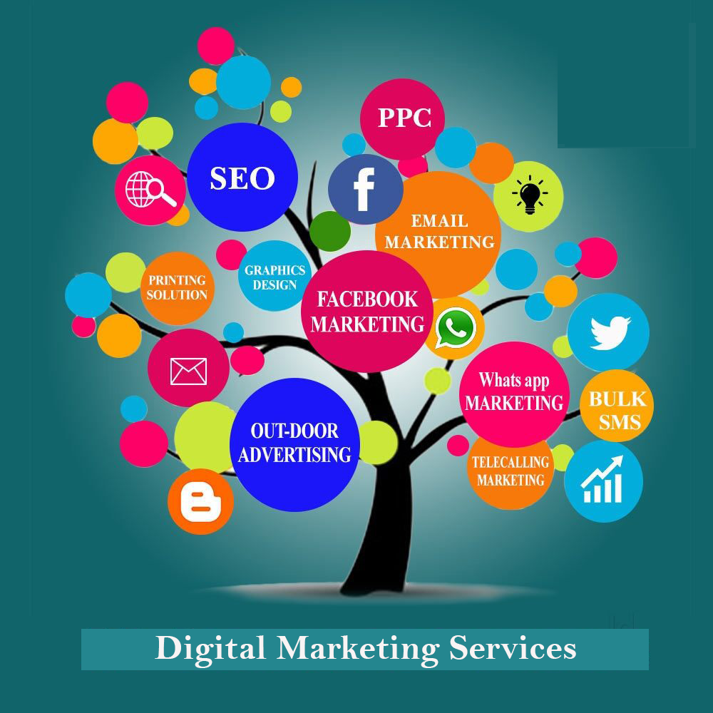 Digital Marketing & SEO Services in Chandigarh