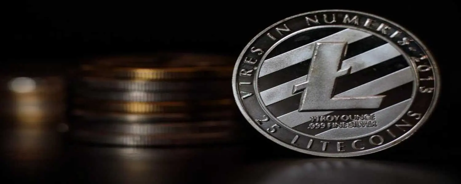 Here's what Litecoin will cost in 2023 and 2030, according to The Morning Crypto.