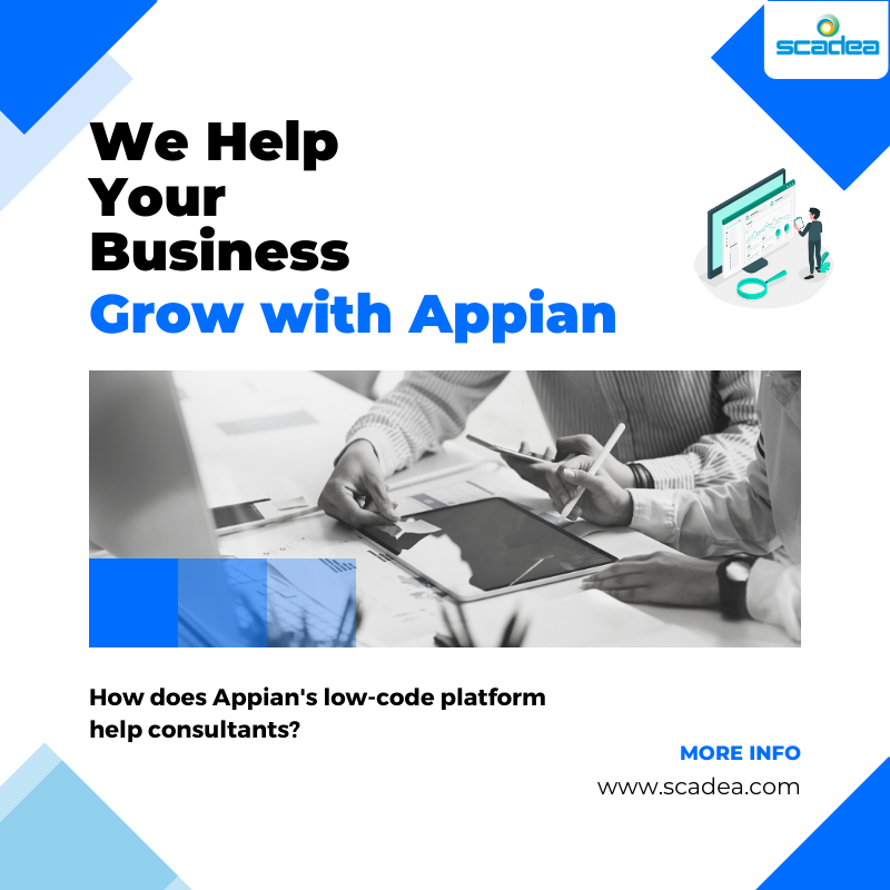 How does Appian’s low-code platform help consultants?