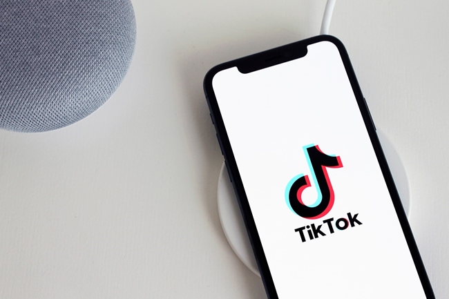Unlocking the Secrets to High-Performing TikTok Video Ads