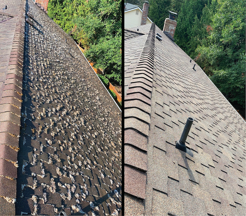 Kent Roof Cleaning: Keeping Your Roof in Pristine Condition