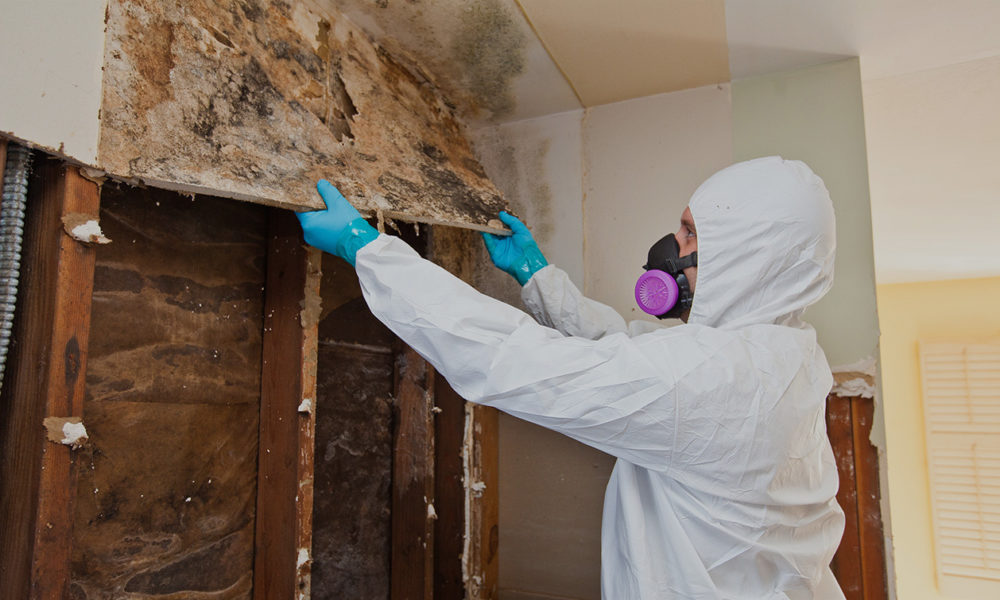 The Importance of Tile and Grout Cleaning for Maintaining a Healthy Home