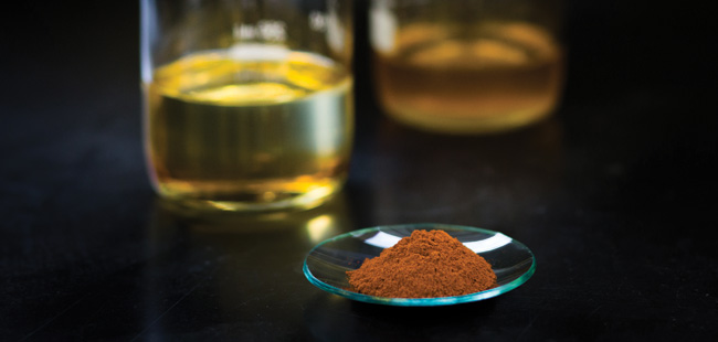 Biodiesel Catalyst Market Growth Accelerated by Increased Adoption of Renewable Fuel Standards