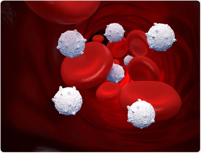 Stem Cell Assay: The Future of Disease Treatment and Drug Discovery 