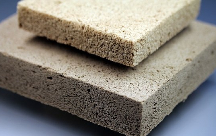 Biodegradable Foam Market Growth Accelerated by Surging Environmental Concerns 