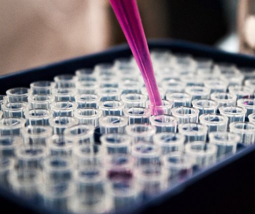 Bioinformatics Platforms Market Augmented by Implementation of Genomic Medicine 