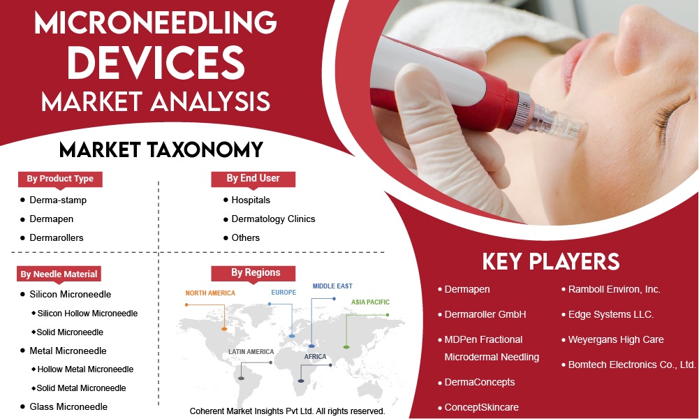 "Key Players in the Microneedling Devices Industry"
