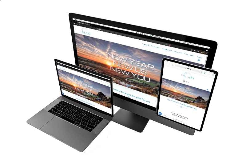 Why Are Mesh Systems Important?