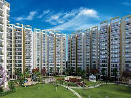 Everything You Need to Know About GLS Group Gurgaon